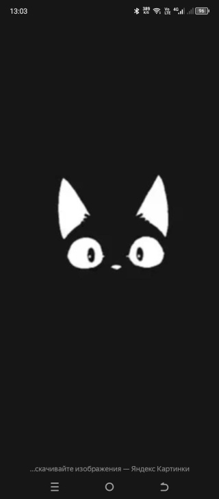 Дамир Акчурин